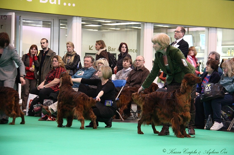 Crufts2011 742.jpg